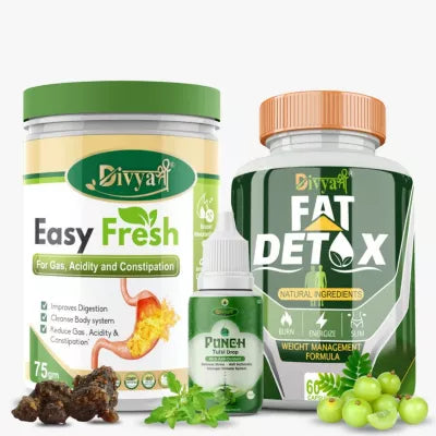 Divya Shree Fat Detox Capsule + Easy Fresh Powder + Punch Tulsi Drop (Caps 60 + 75gm + 30ml) (1Pack)
