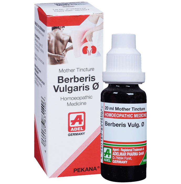 ADEL Berberis Vulg Mother Tincture
