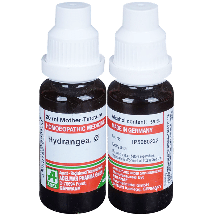 ADEL Hydrangea Mother Tincture