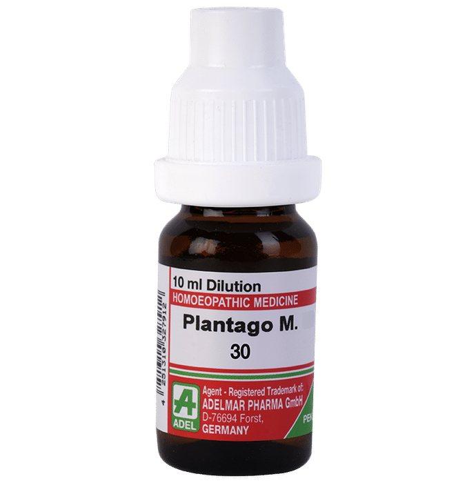 ADEL Plantago M. Dilution