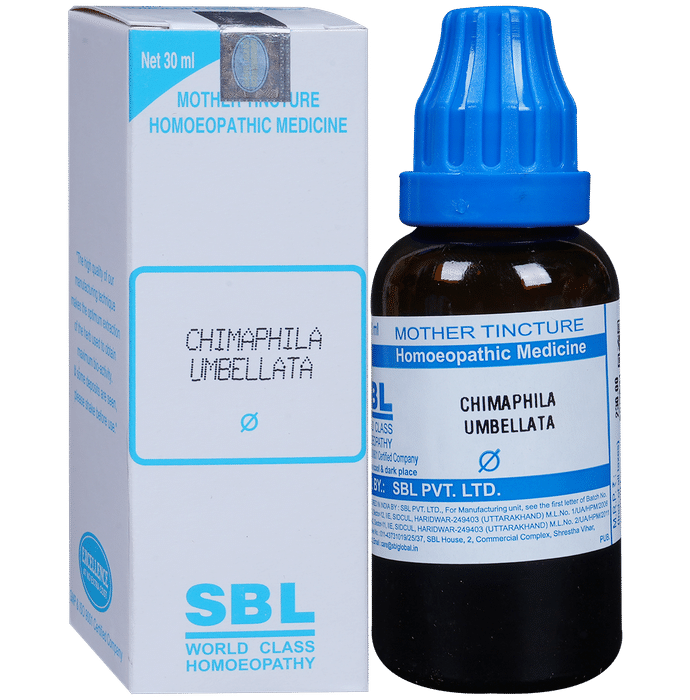 SBL Chimaphila Umbellata Mother Tincture
