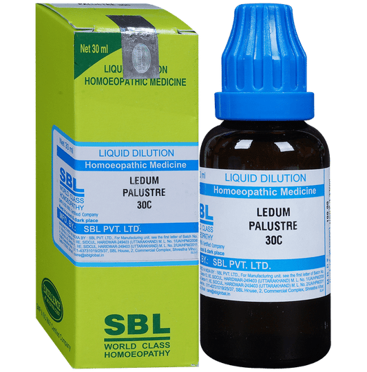 SBL Ledum Palustre Dilution
