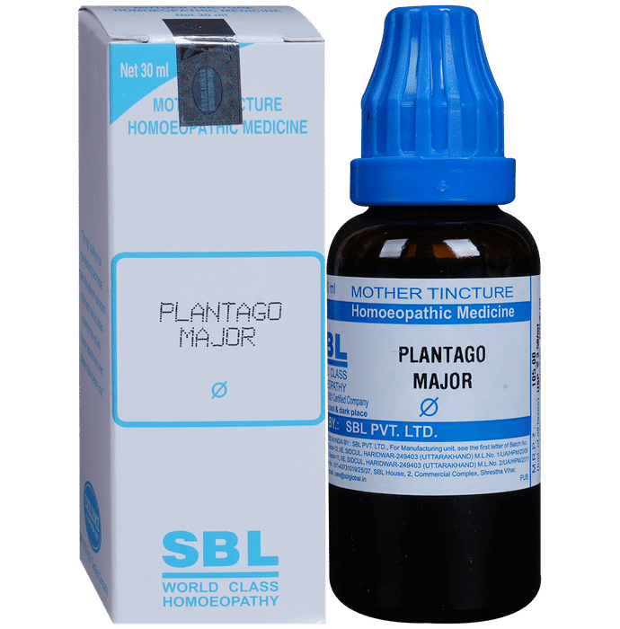 SBL Plantago Major Mother Tincture
