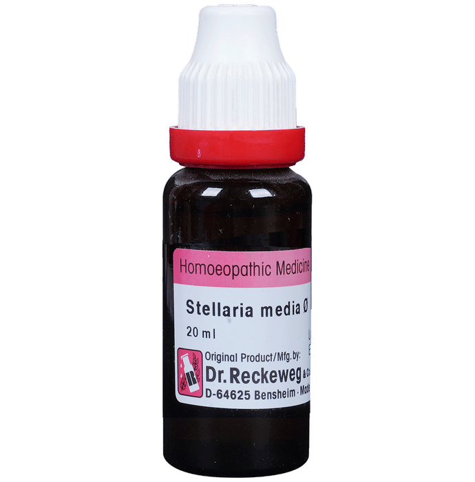 Dr. Reckeweg Stellaria Media Mother Tincture