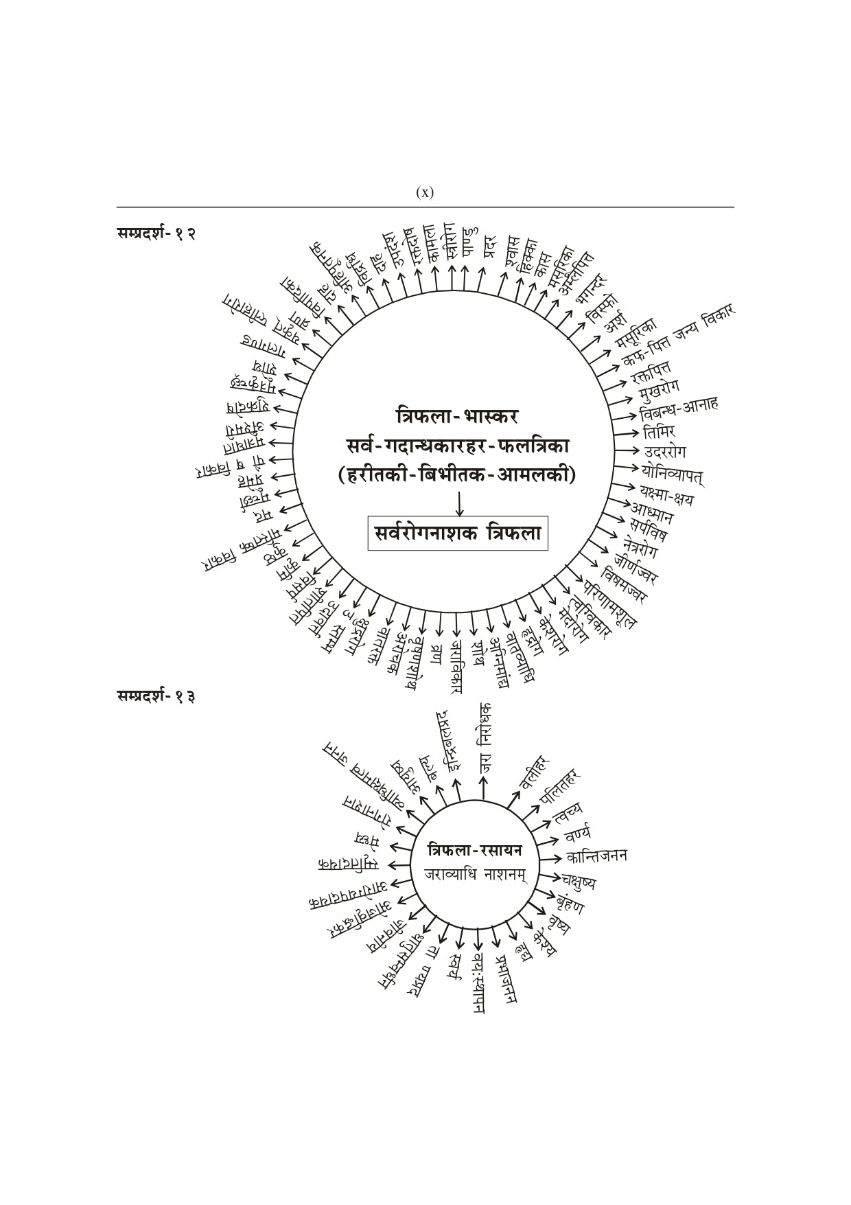 Chaukhambha Orientalia Trifala Vigyana (Hindi)