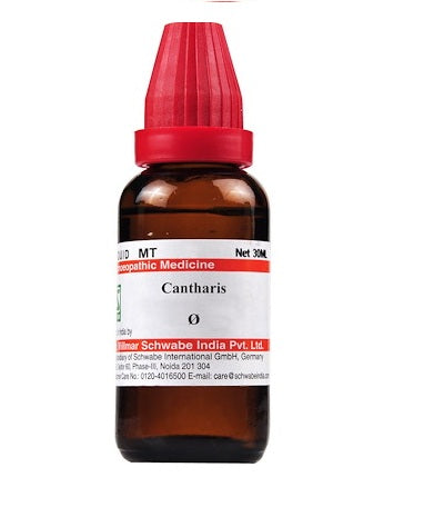 Willmar Schwabe India Cantharis Mother Tincture Q