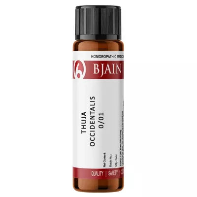 BJain Thuja Occidentalis LM 0/1