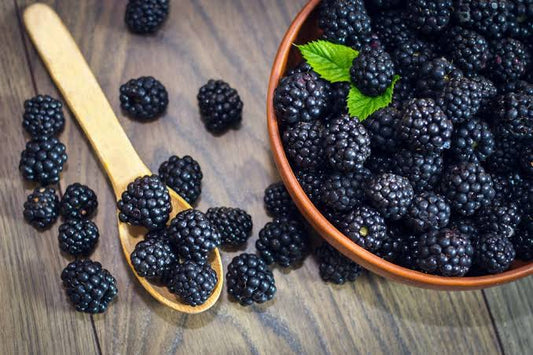 Blackberries: Nutritional Benefits and Time-Honored Uses for Health and Wellness: A Nutrient-Packed Addition to Your Diet