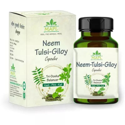 Mapl Neem Giloy Tulsi Capsule