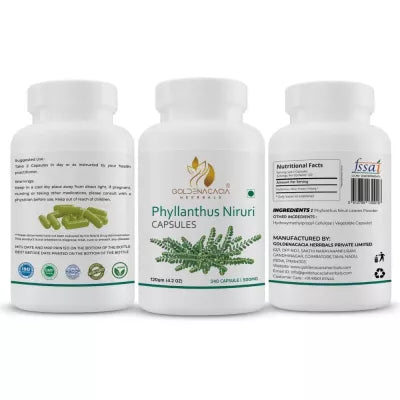 Goldenacacia Herrbals Phyllanthus Capsules 500 MG