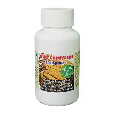 Universal Herbal & Concentrates Wild Cordyceps