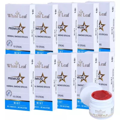 White Leaf Premium Herbal Cigarette Mint + Lip Scrub Balm (10 Box Each 10 sticks +20g) (1Pack)