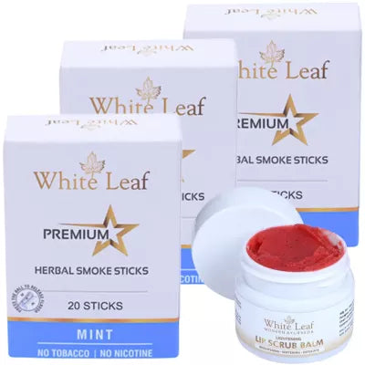 White Leaf Premium Herbal Cigarette Mint + Lip Scrub Balm (3 Box Each 20 sticks +20g) (1Pack)