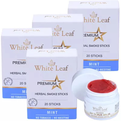 White Leaf Premium Herbal Cigarette Mint + Lip Scrub Balm (4 Box Each 20 sticks +20g) (1Pack)