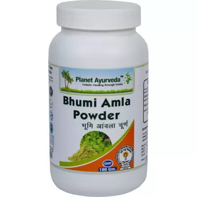 Planet Ayurveda Bhumi Amla Powder