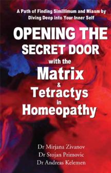 Opening The Secret Door With The Matrix & Tetractys In Homeopathy