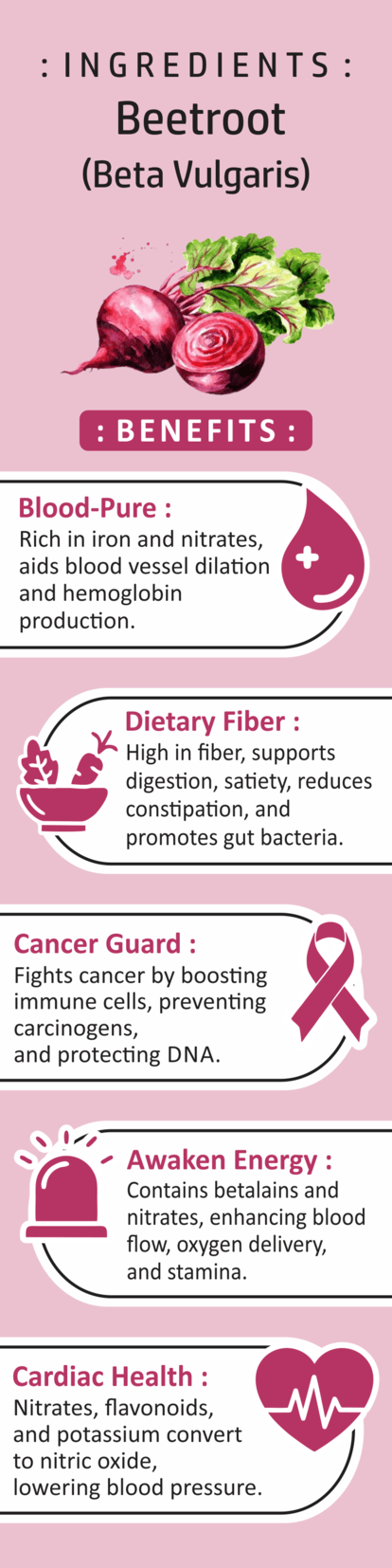 Nisarg Organic Farm Beetroot Powder