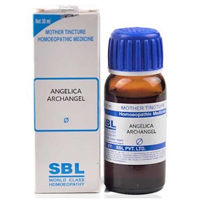 SBL Angelica Archangelica Mother Tincture