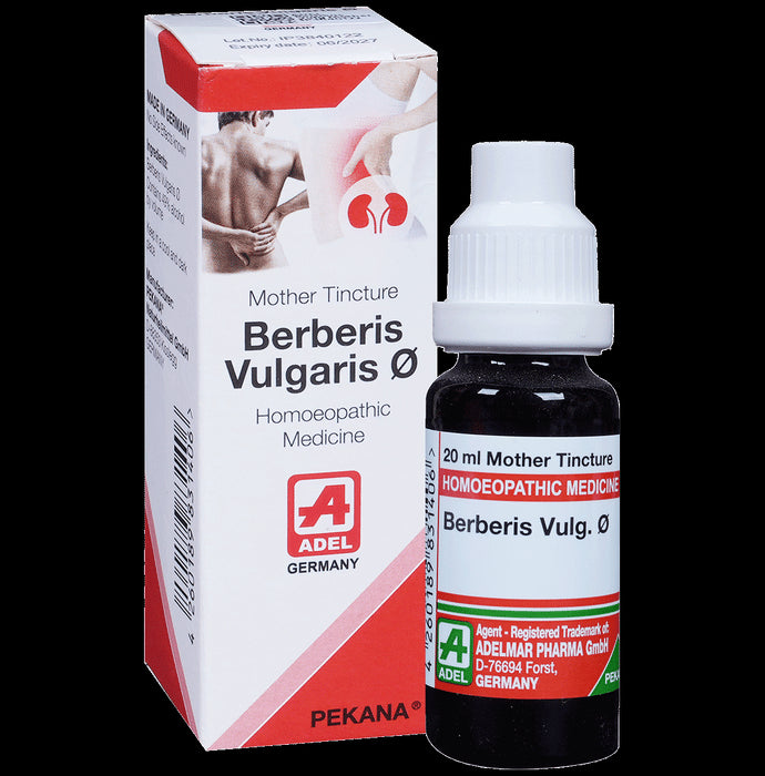 ADEL Berberis Vulg Mother Tincture