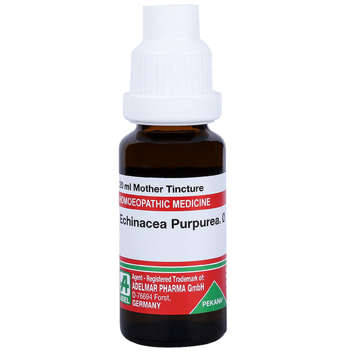 ADEL Echinacea Purpurea. Mother Tincture