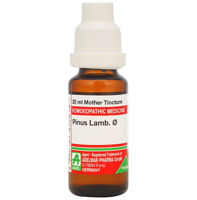 ADEL Pinus Lamb. Mother Tincture