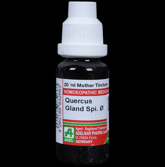 ADEL Quercus Gland Spi Mother Tincture