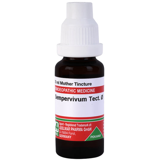 ADEL Sempervivum Tect Mother Tincture