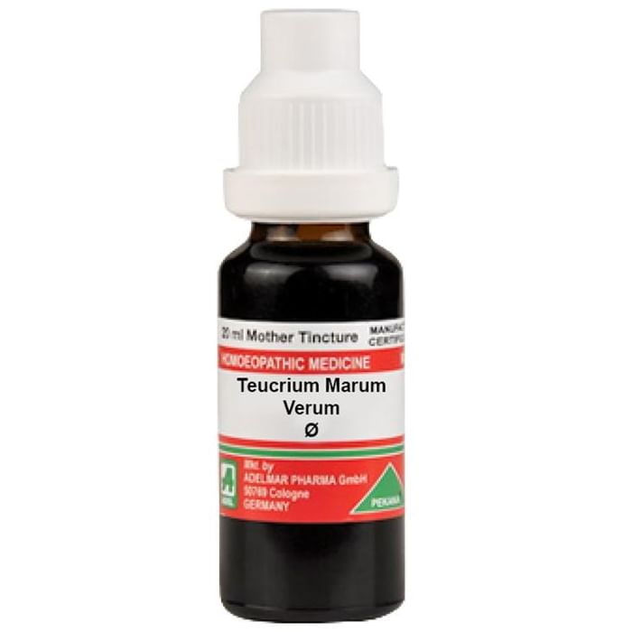 ADEL Teucrium Marum Verum Mother Tincture