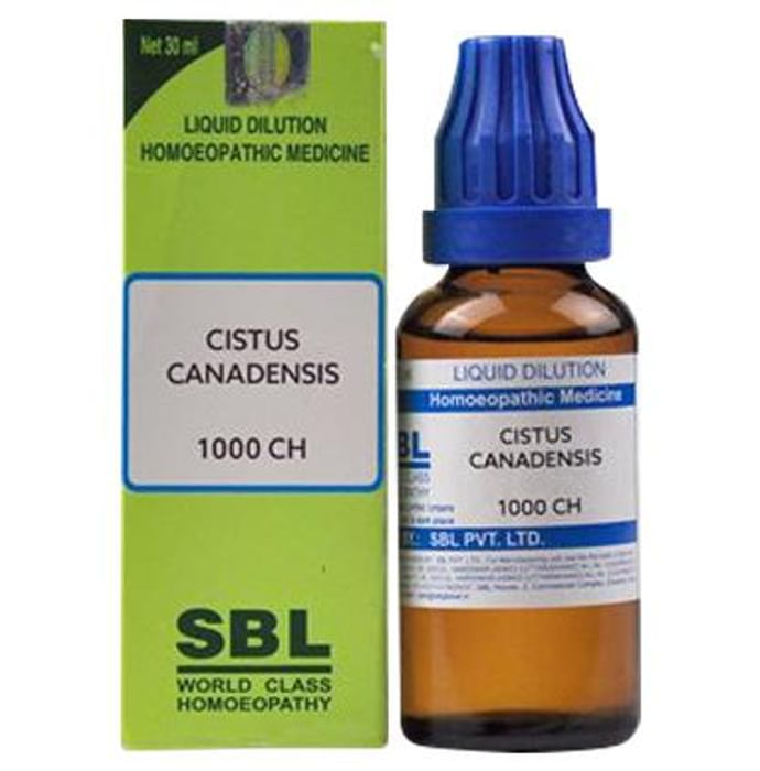 SBL Cistus Canadensis Dilution