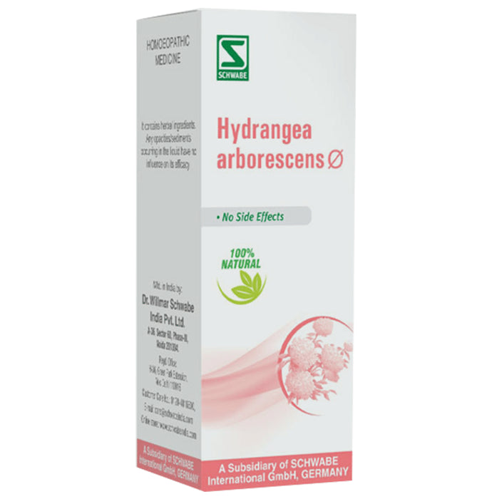 Dr. Willmar Schwabe India Hydrangea Arborescens Mother Tincture