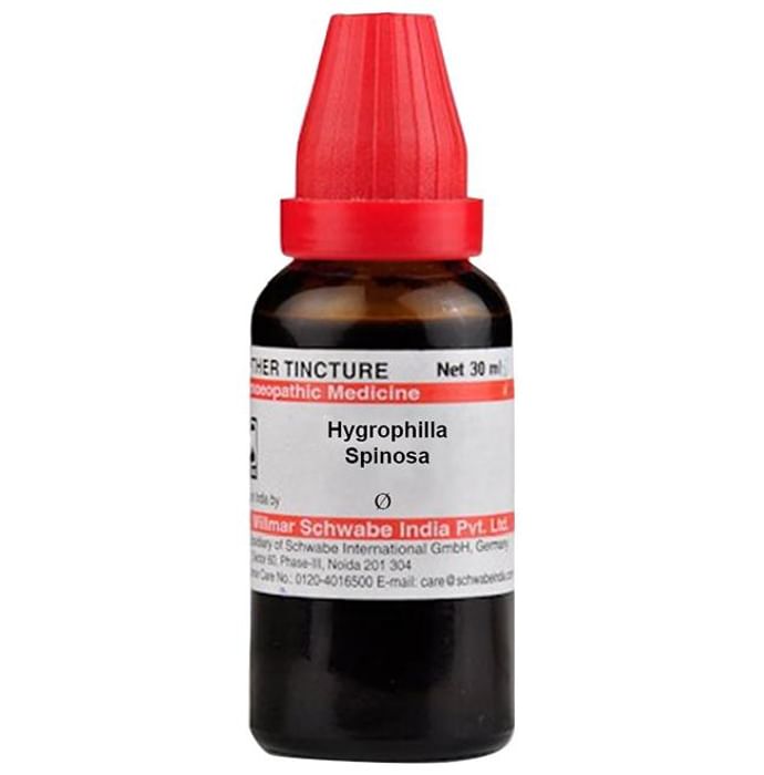 Dr. Willmar Schwabe India Hygrophilla Spinosa Mother Tincture