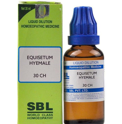 SBL Equisetum Hyemale Dilution