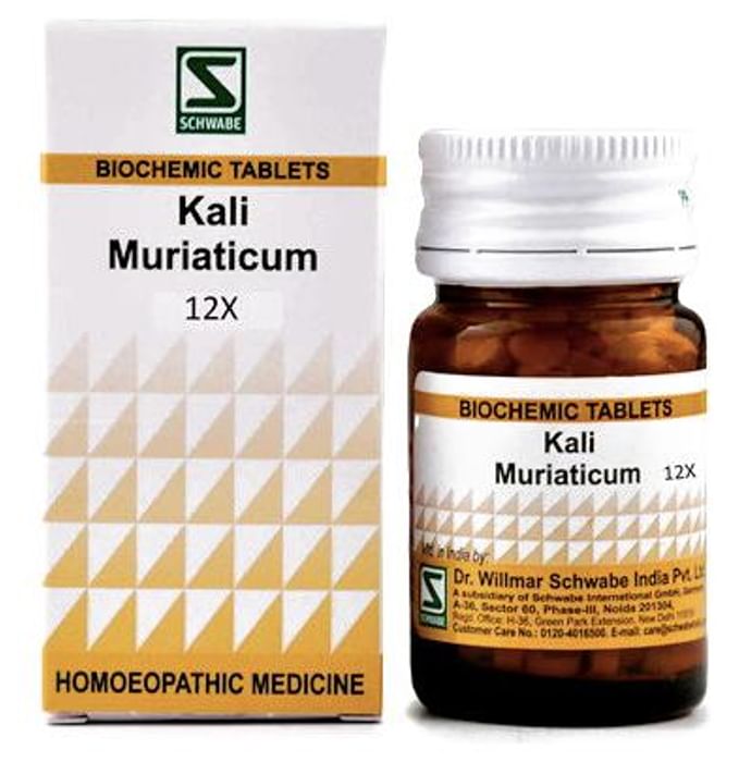 Dr. Willmar Schwabe India Kali Muriaticum Biochemic Tablet