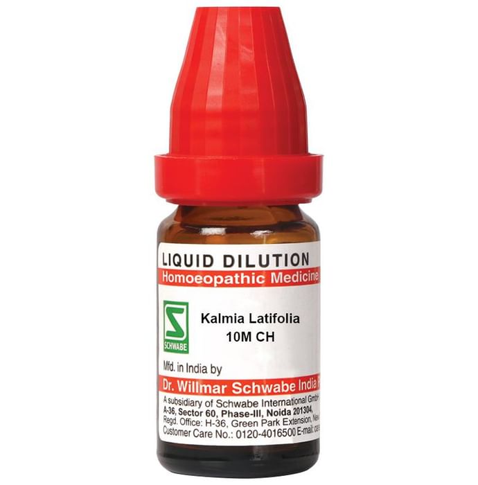 Dr. Willmar Schwabe India Kalmia Latifolia Dilution