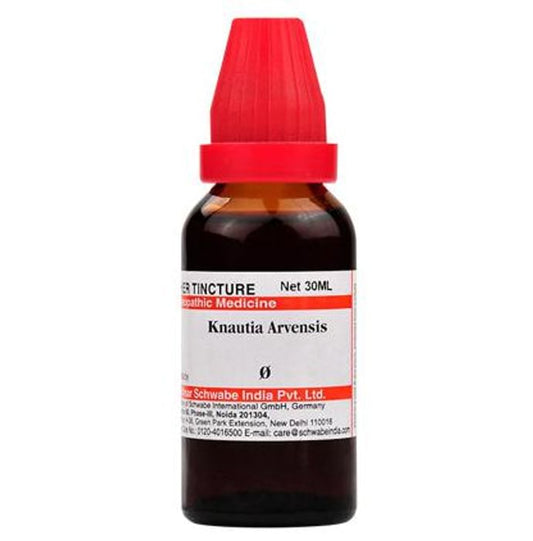 Dr. Willmar Schwabe India Knautia Arvensis Mother Tincture