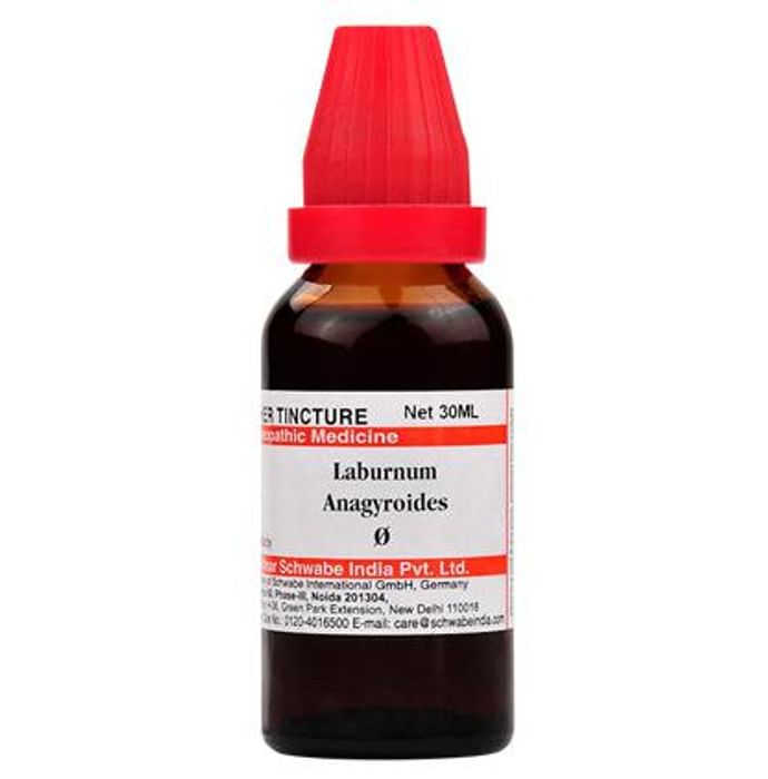 Dr. Willmar Schwabe India Laburnum Anagyroides Mother Tincture