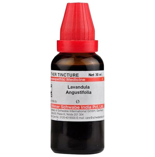 Dr. Willmar Schwabe India Lavandula Angustifolia Mother Tincture