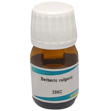 Boiron Berberis Vulgaris Dilution