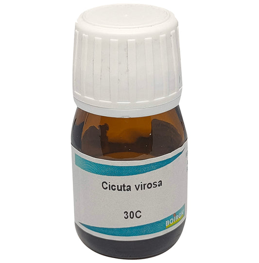 Boiron Cicuta Virosa Dilution