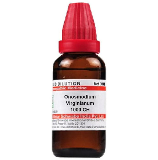 Dr. Willmar Schwabe India Onosmodium Virginianum Dilution