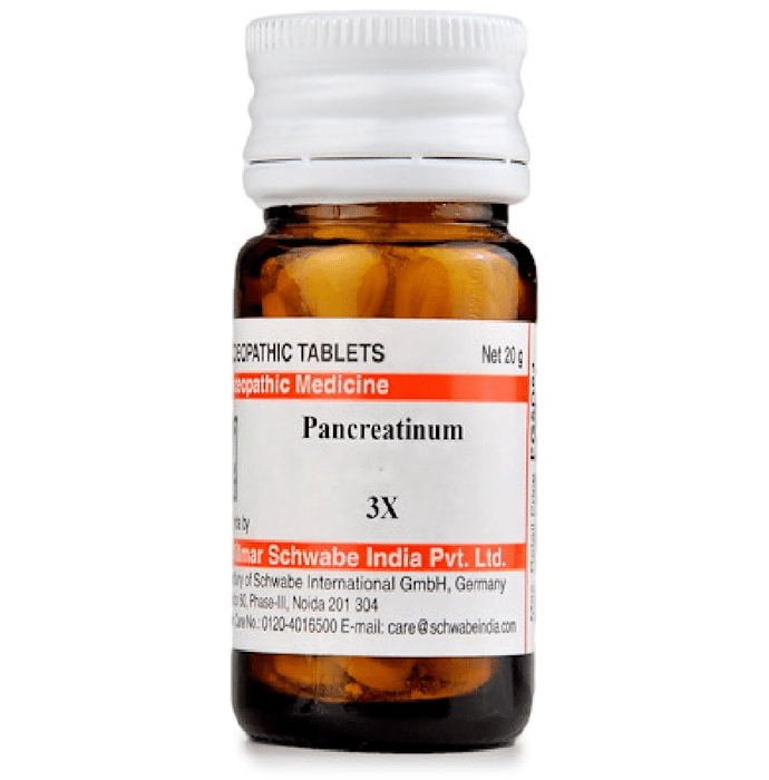 Dr. Willmar Schwabe India Pancreatinum Trituration Tablet