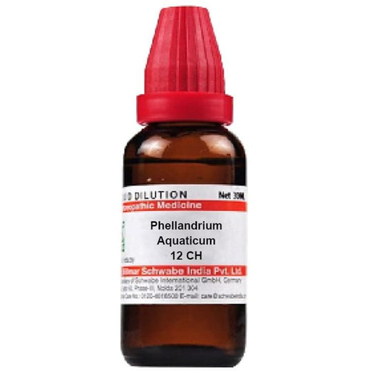 Dr. Willmar Schwabe India Phellandrium Aquaticum Dilution
