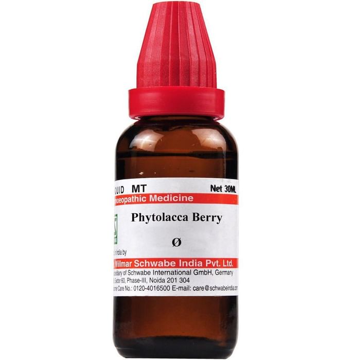 Dr. Willmar Schwabe India Phytolacca Berry Mother Tincture