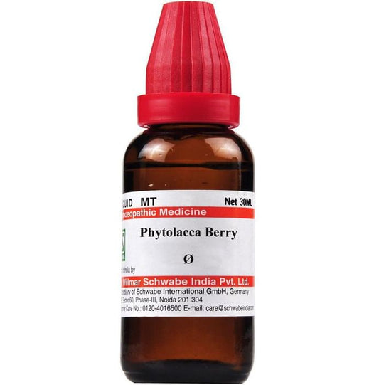 Dr. Willmar Schwabe India Phytolacca Berry Mother Tincture