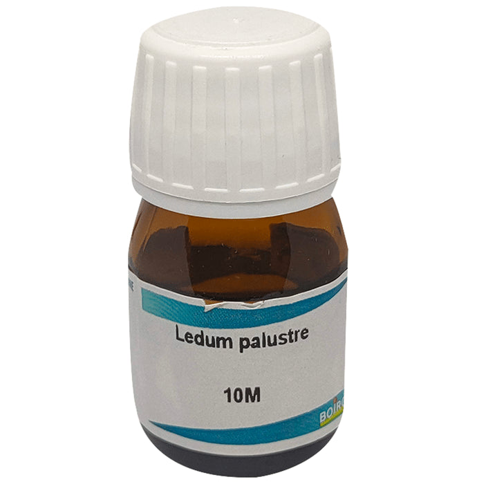 Boiron Ledum Palustre Dilution