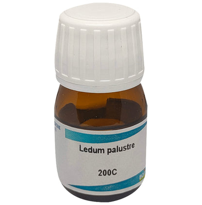 Boiron Ledum Palustre Dilution