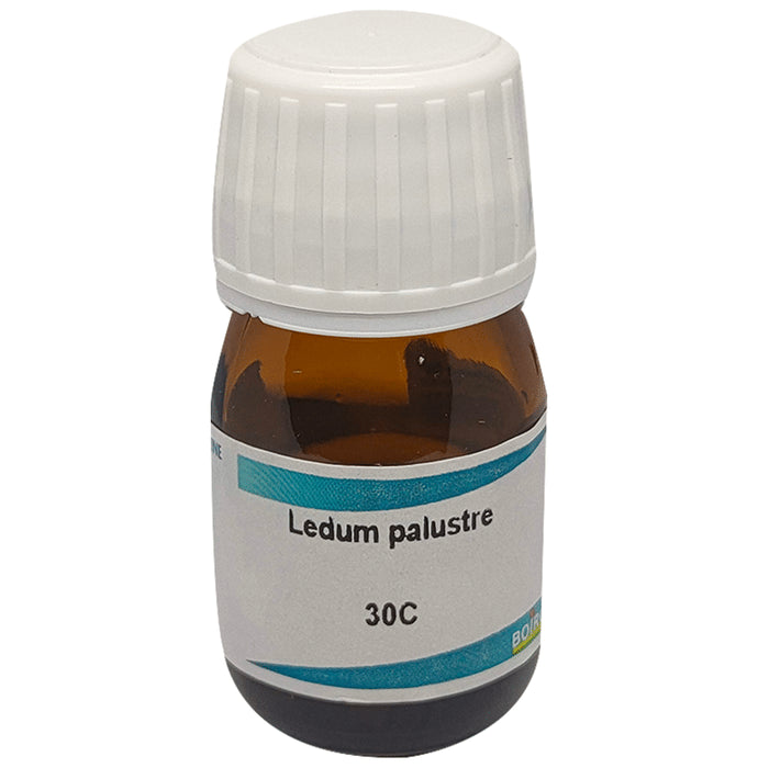 Boiron Ledum Palustre Dilution