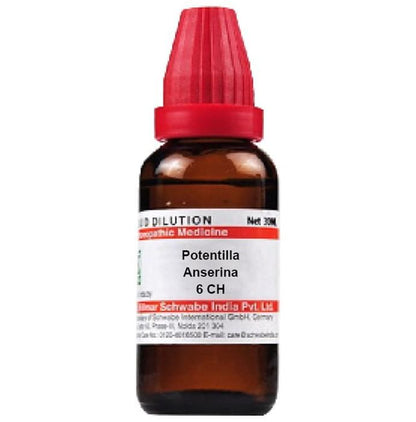 Dr. Willmar Schwabe India Potentilla Anserina Dilution