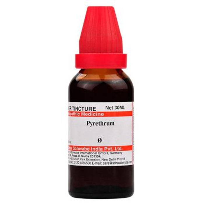 Dr. Willmar Schwabe India Pyrethrum Mother Tincture
