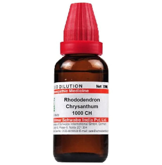 Dr. Willmar Schwabe India Rhododendron Chrysanthum Dilution